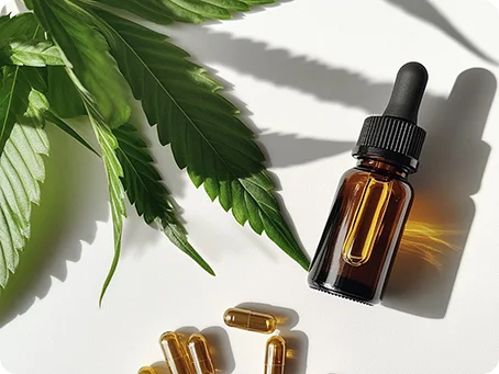 Medizinisches Cannabis: Anwendungsformen und ihre Wirkung in der Cannabis Therapies